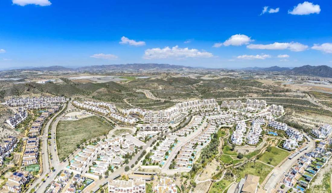 Aerial view of the Vera Playa area with the sea